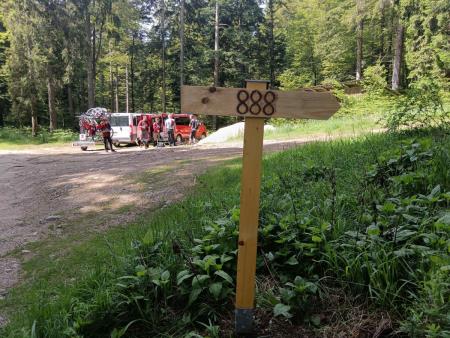 Smerokaz, proga 888, Mojca Žnidaršič